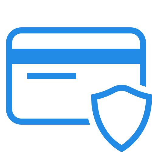 icons8-secure-payment-500